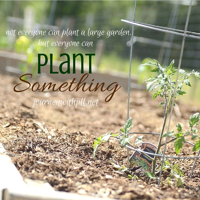 Plant Something | Journey with Jill
