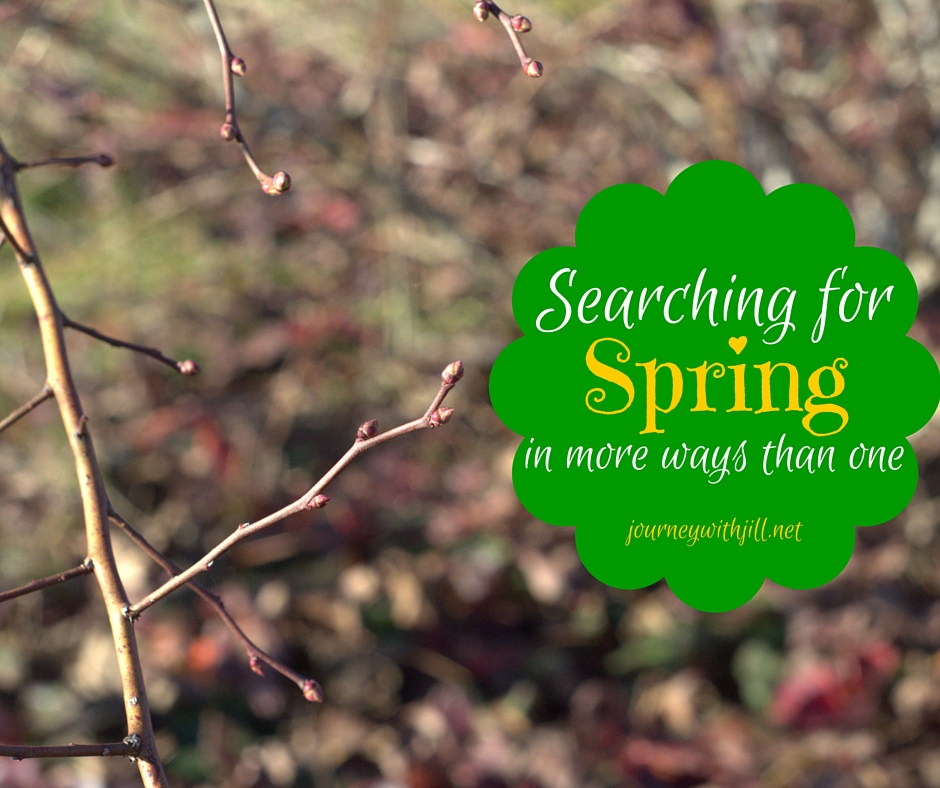 Searching for Spring | Journey with Jill