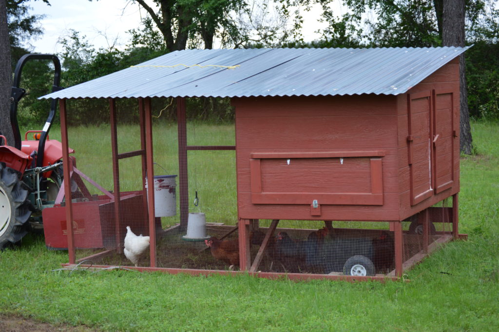 Our Chicken House | Journey with Jill