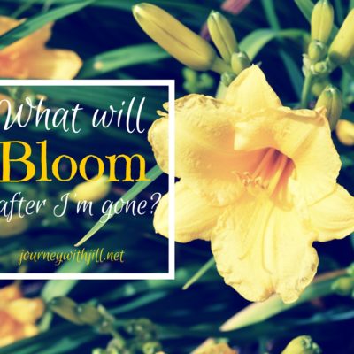 What Will Bloom After I’m Gone?