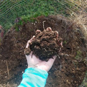 Healthy Soil of the Heart